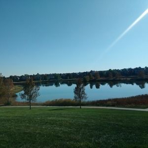 Meet your Posher, Lucy